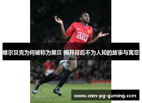 维尔贝克为何被称为黑贝 揭开背后不为人知的故事与寓意 维尔贝克为何被称为黑贝 揭开背后不为人知的故事与寓意