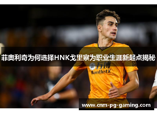 菲奥利奇为何选择HNK戈里察为职业生涯新起点揭秘 菲奥利奇为何选择HNK戈里察为职业生涯新起点揭秘