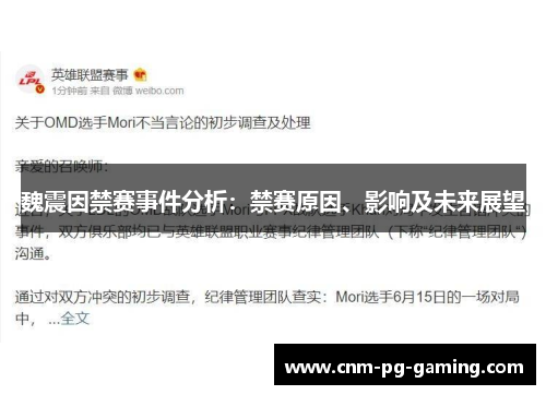 魏震因禁赛事件分析：禁赛原因、影响及未来展望
